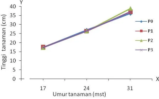 Gambar 1. Grafik pertumbuhan tinggi tanaman umur 17-31 HST 