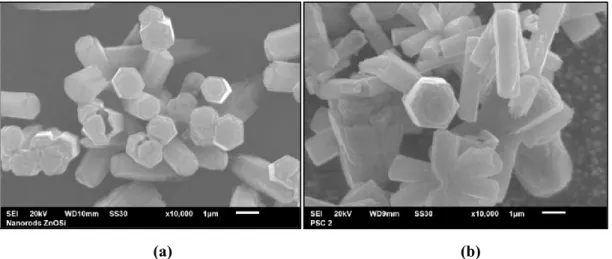 Gambar 4. Hasil SEM nanorods ZnO yang tumbuh di atas substrat (a) Silikon dan (b)  lapisan benih ZnO.