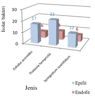 Gambar 11  Hasil isolasi bakteri simbion epifit (a) dan endofit (b). 