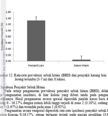 Gambar 12. Rata-rata prevalensi sabuk hitam (BBD) dan penyakit karang lain  pada 