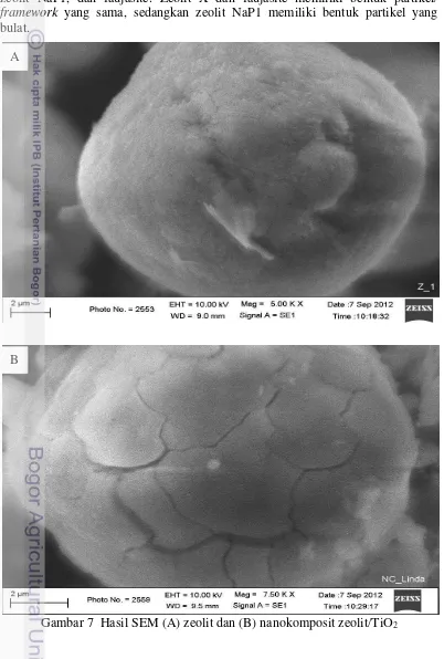 Gambar 7  Hasil SEM (A) zeolit dan (B) nanokomposit zeolit/TiO2 