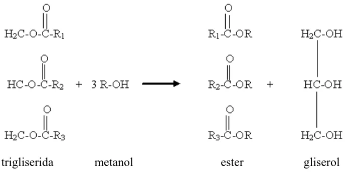 Gambar 1. Reaksi transesterifikasi 