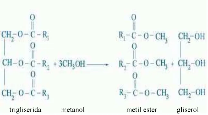 Gambar 6. Reaksi Pembentukan Metil Ester Asam Lemak. 