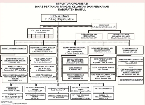 Gambar I. 1 Struktur Organisasi Dinas Pertanian Pangan Kelautan dan Perikanan  Kabupaten Bantul 