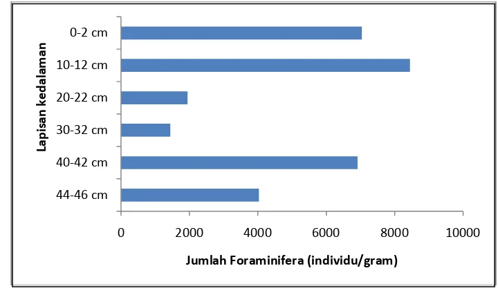 Gambar 18. Grafik Lapisan Kedalaman dengan Julah Foraminifera                                  Pada TJ-91 