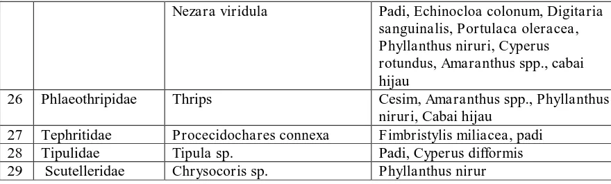 Tabel 2. Statistik dari connectance, Shannon diversity, dan interaction evennessnetwork level  Petak  