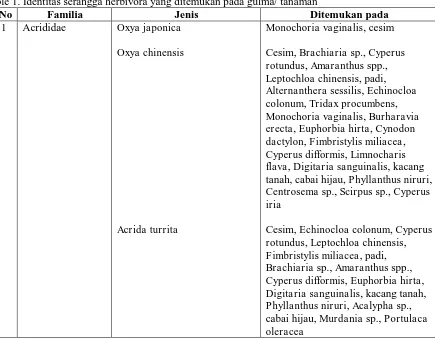 Table 1. Identitas serangga herbivora yang ditemukan pada gulma/ tanaman  No Familia Jenis Ditemukan pada 