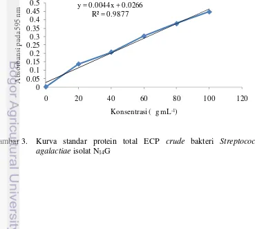 Gambar 3.Kurva standar protein total ECP crude bakteri Streptococcus