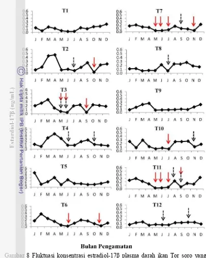 Gambar 8 Fluktuasi konsentrasi estradiol-17� plasma darah ikan Tor soro yangGambar 8 Fluktuasi konsentrasi estradiol-17� plasma darah ikan Tor soro yangGambar 8 Fluktuasi konsentrasi estradiol-17� plasma darah ikan Tor soro yang