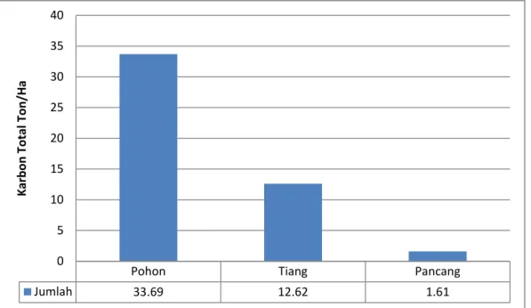 Gambar  6.  Grafik  Rata-Rata  Cadangan  Karbon  Pada Lahan  Pertanian  Masing- Masing-Masing Strata.
