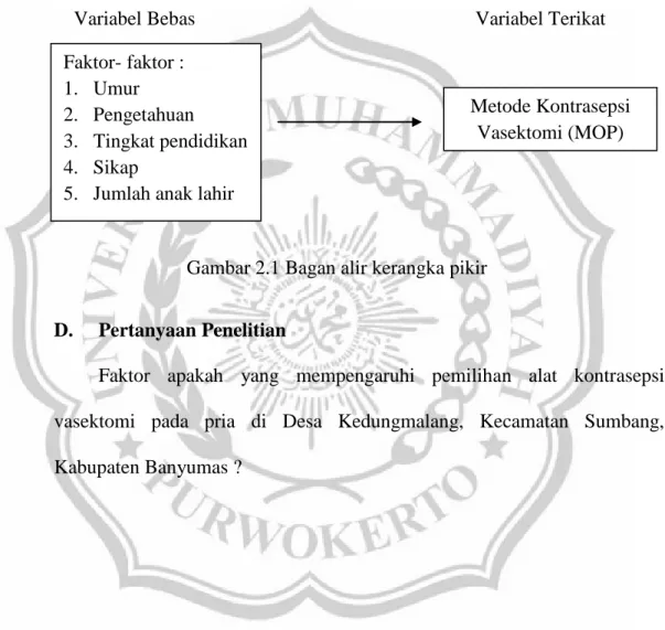 Gambar 2.1 Bagan alir kerangka pikir 