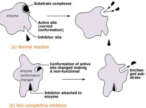 Gambar 4. Reversible Inhibitors