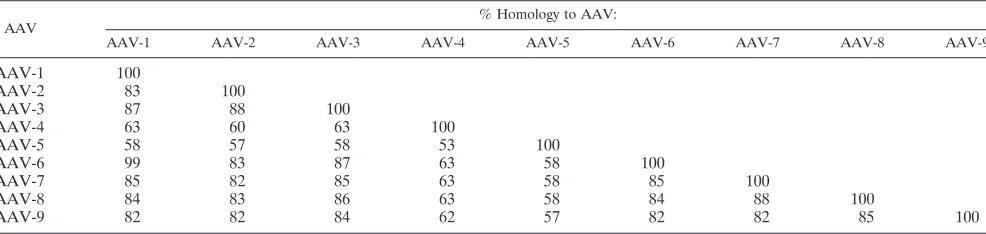 TABLE 1. Capsid homology among AAV serotypes 1 to 9