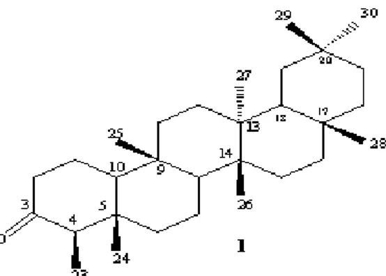 Gambar 1. Struktur senyawa 1  KESIMPULAN 