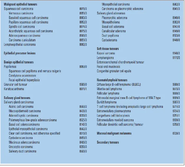 Gambar 1. Klasifikasi WHO tumor dari rongga mulut dan orofaring 13 