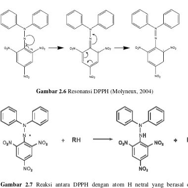 Gambar 2.7 Reaksi antara DPPH dengan atom H netral yang berasal dari    antioksidan (Molyneux, 2004)