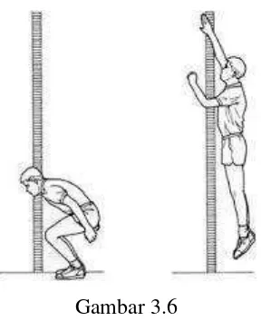 Tes loncat tegak (Gambar 3.6 vertical jump) 