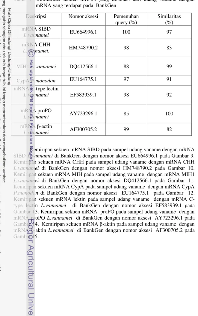 Tabel  4    Similaritas  sekuen  mRNA  yang  diisolasi  dari  udang  vaname  dengan  mRNA yang terdapat pada  BankGen 