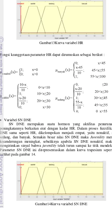 Gambar14Kurva variabel SN DNE 