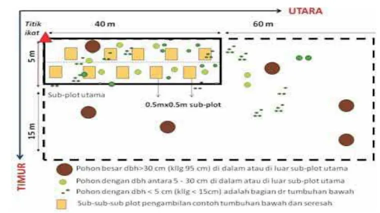 Pendugaan Cadangan Karbon Above Ground Biomass (AGB) Pada Tegakan Sawit ...