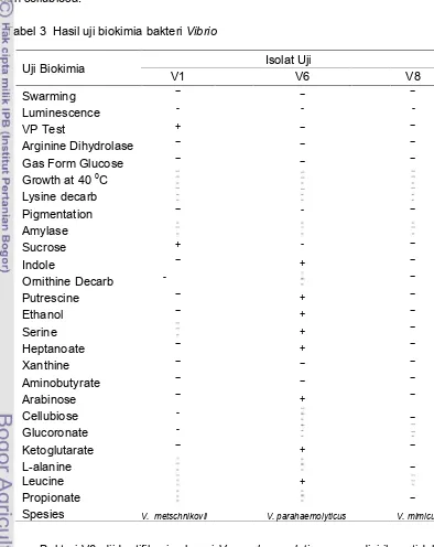 Tabel 3  Hasil uji biokimia bakteri Vibrio