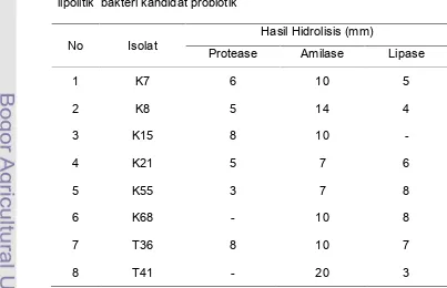 Tabel 6Diamater hidrolisis (mm) aktivitas enzim proteolitik, amilolitik dan