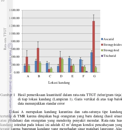 Gambar 1 Hasil pemeriksaan kuantitatif dalam rata-rata TTGT (telur/gram tinja) 