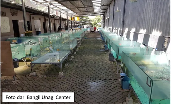 Foto dari UNS-Solo Foto dari Bangil Unagi Center