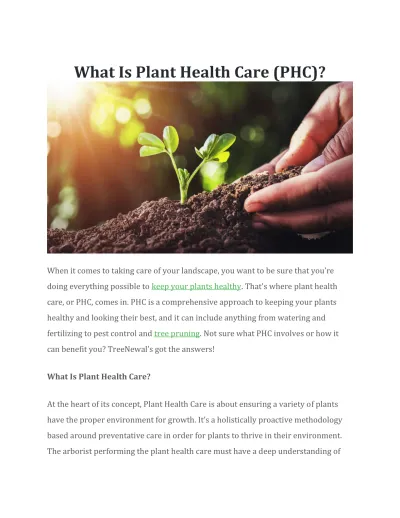 what-is-plant-health-care