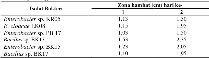 Tabel 1. Uji antagonisme antara bakteri kitinolitik dengan R. solani  