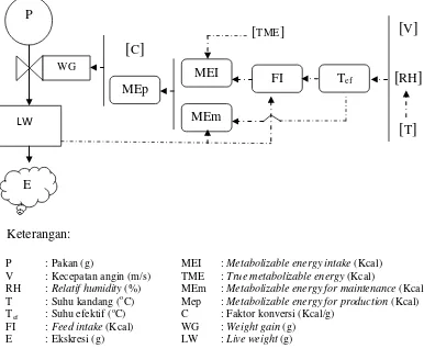 Gambar 4  Diagram forrester pertumbuhan ayam broiler. 