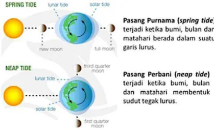 Gambar 2.3 Posisi matahari, bumi, dan bulan saat pasang purnama dan pasang perbani  (Sumber: www.bayoffundy.com) 