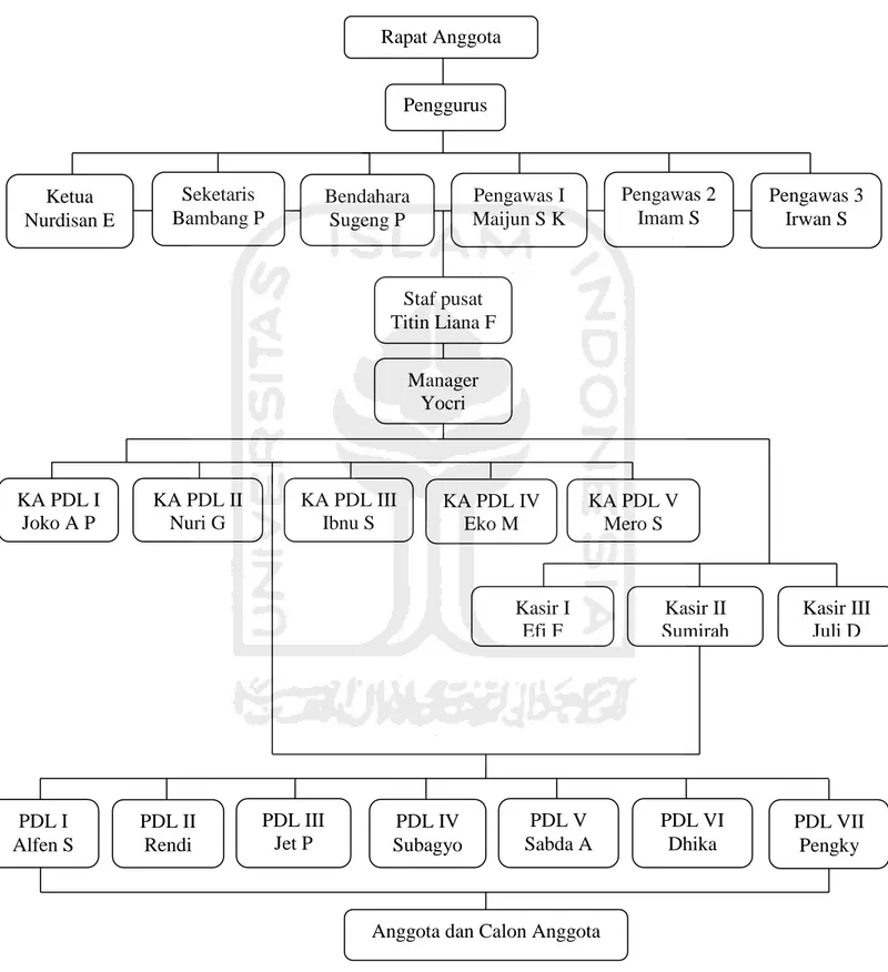 Gambar 3.1 Struktur Organisasi KSU Eka Jaya Mandiri 
