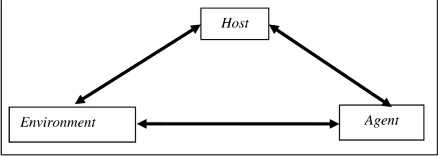 Gambar 2.1 Model Segitiga Epidemiologi 