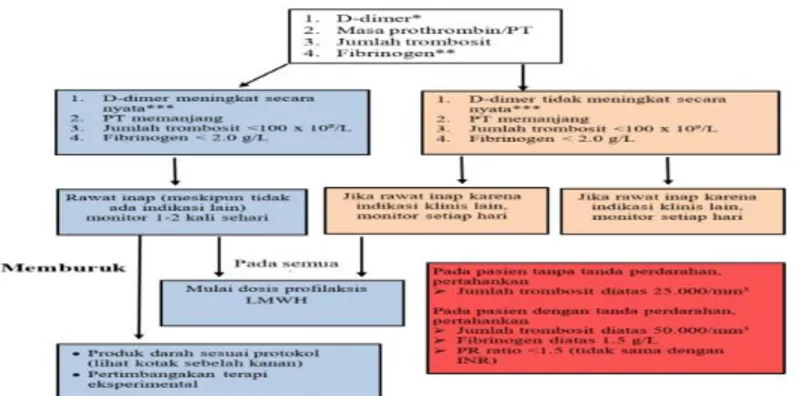 Gambar 1. Algoritma tatalaksana koagulasi pada COVID 19 berdasarkan marker  laboratorium sederhana