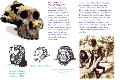 gambar wajah berbeda dari