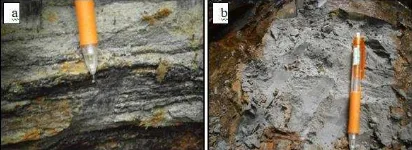 Gambar 5. Satuan batupasir yang menunjukkan litologi berupa (a) batupasir konglomeratan  (b) batupasir kuarsa  