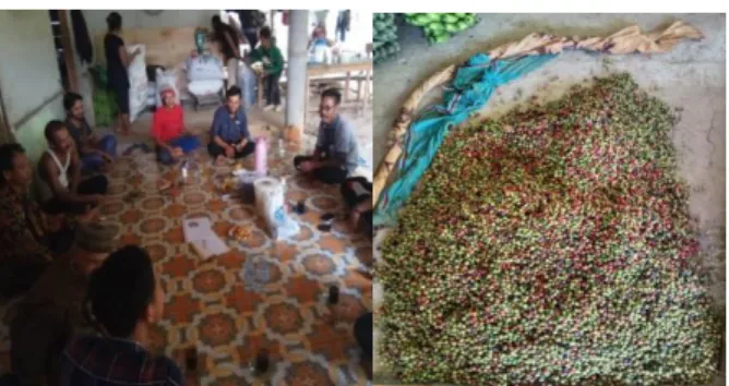 Gambar 2. Pelatihan pemeliharaan tanaman  kopi dan pengolahan hasil panen  bersama  PT