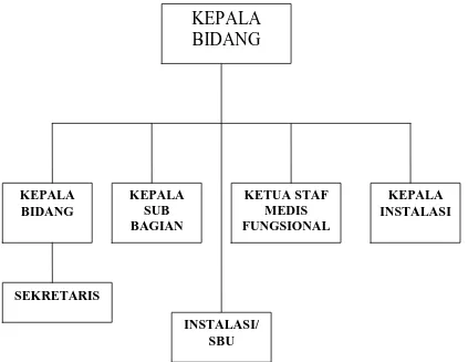 Gambar: 3.1. Struktur Organisasi RSUD Dr. Pirngadi Medan Sumber: Data diolah penulis, 2010  