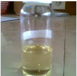 Gambar 3  Kromatogram lapis tipis minyak atsiri temu kunci pada silika gel