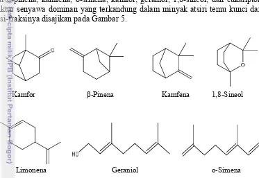Gambar 5  Senyawa dominan yang terdapat pada minyak atsiri temu kunci 