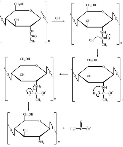 Gambar  2.4.  Reaksi  pemutusan  gugus  asetil  pada  kitin  hingga  menjadi kitosan (Basuki dan Sanjaya, 2009)