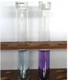 Gambar 4.7. Larutan blanko (biru  muda)  dan  kasein (ungu)  yang  telah ditambahkan reagen biuret