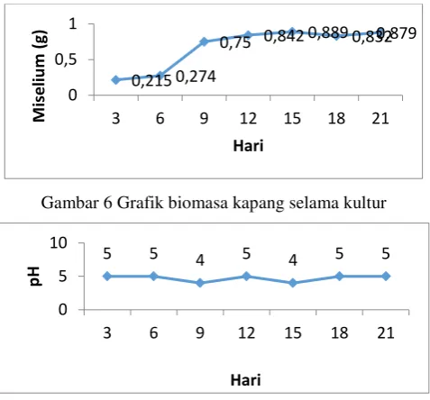 Gambar 6 Grafik biomasa kapang selama kultur 