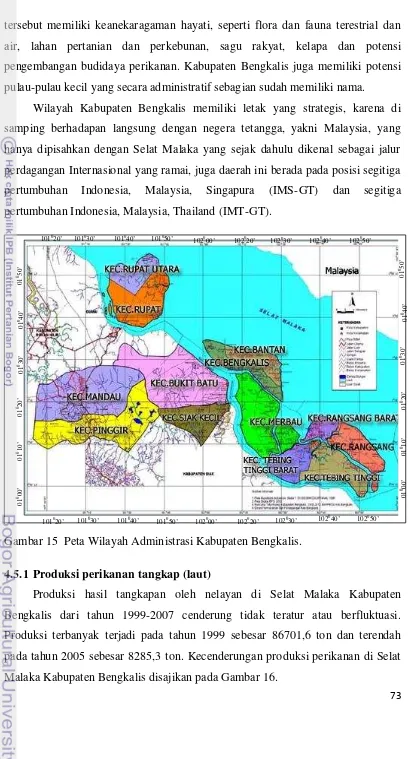 Gambar 15  Peta Wilayah Administrasi Kabupaten Bengkalis.  