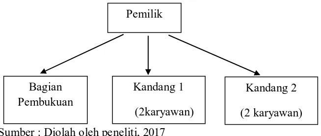 Gambar 4.1 Struktur Organisasi Peternakan Ayam 