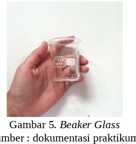 Gambar 5. Beaker Glass