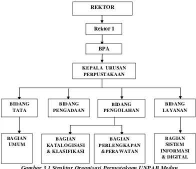 Gambar 3.1 Struktur Organisasi Perpustakaan UNPAB Medan 