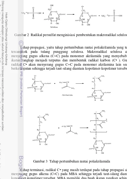 Gambar 3  Tahap pertumbuhan rantai poliakrilamida 