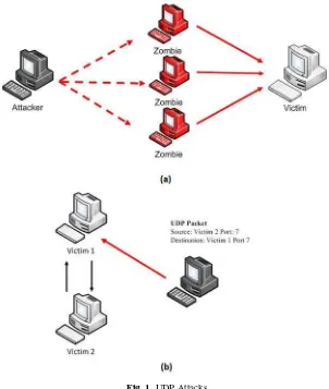 Fig. 1. UDP Attacks 